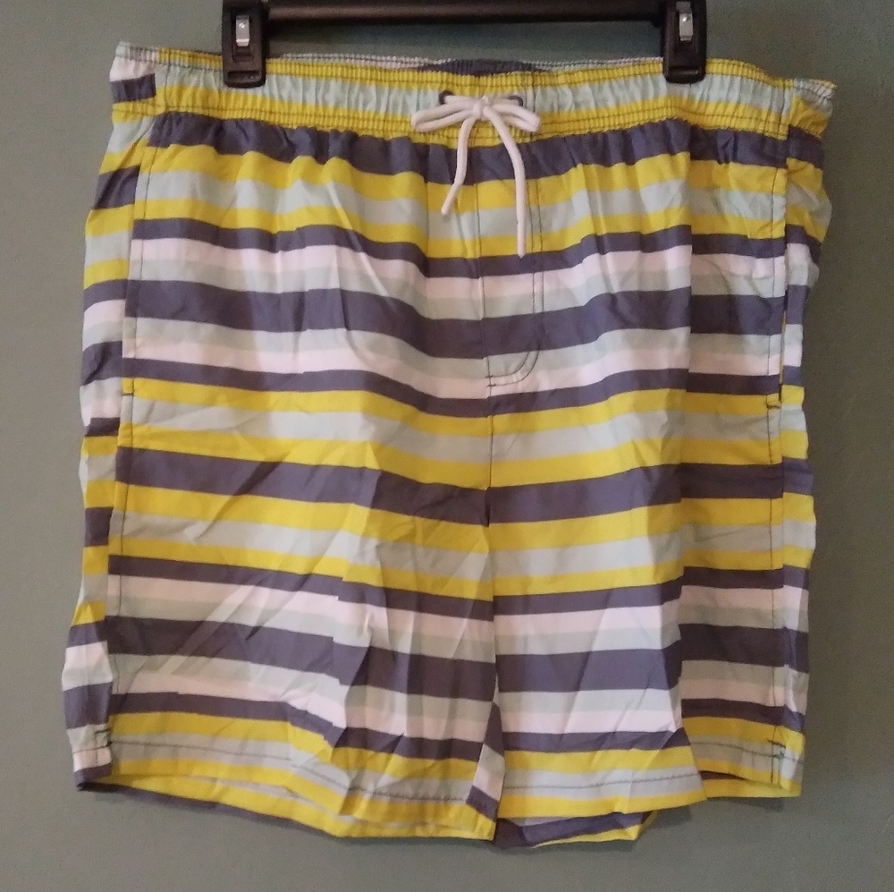 Mens Striped Print Swim Trunks